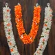 Multicolor__Gurram