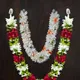 Multicolor__Gurram