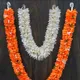 Orange__Gurram