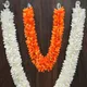Multicolor__Gurram