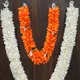 Multicolor__Gurram