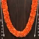 Orange__Gurram