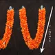 Orange__Gurram