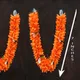 Orange__Gurram