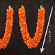 Orange__Gurram