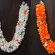 Multicolor__Gurram