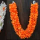 Multicolor__Gurram