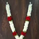 Dark Red__Gurram