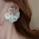 Silver__Mrigangi