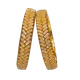 Yellow__Mrigangi