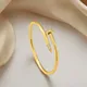 gold__Mrigangi