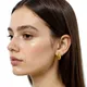 Gold__Mrigangi