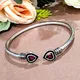 Silver & Red__Mrigangi