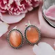 Orange__Mrigangi
