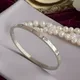 Silver__Mrigangi