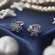 Silver__Mrigangi