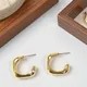 Gold__Mrigangi