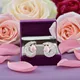Silver & Pink__Mrigangi