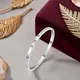 Silver__Mrigangi