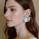 Silver__Mrigangi