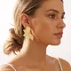 gold__Mrigangi