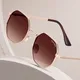 Gold & Brown__Sunlazer