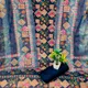 Dark Blue__Suvidhi Apparel
