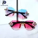 pink / blue__FOSTER PETER