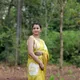 Yellow__VUSARI