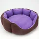 Purple__PETLUX