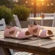 Pink__STICY 
