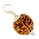 Brown__VERAJ GEMS