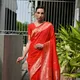 Red__Vishnu Weaves