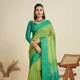 Parrot__Vishnu Weaves