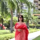Red__Vishnu Weaves