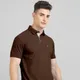 Brown__TRIPTEE
