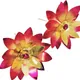 Pack Of 2__90DEGREE