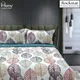 Multicolor__FABRO