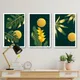 Pack Of 3__REPLIX