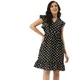 BLACK POLKA__BRINNS