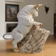 White__ALiLa Decor
