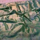 Cactus__Buggze