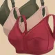 Wine-Beige-Green__LUSH COMFORT