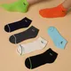 Multicolour__Vedco