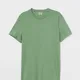 Dark Pastel Green__The BT Club