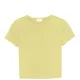 Lemon__The BT Club