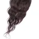 Natural Brown__Refynhair