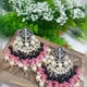 Black__Gyaan Jewels