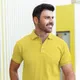 Yellow__Molton