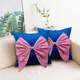 Blue And Pink__Furnishya